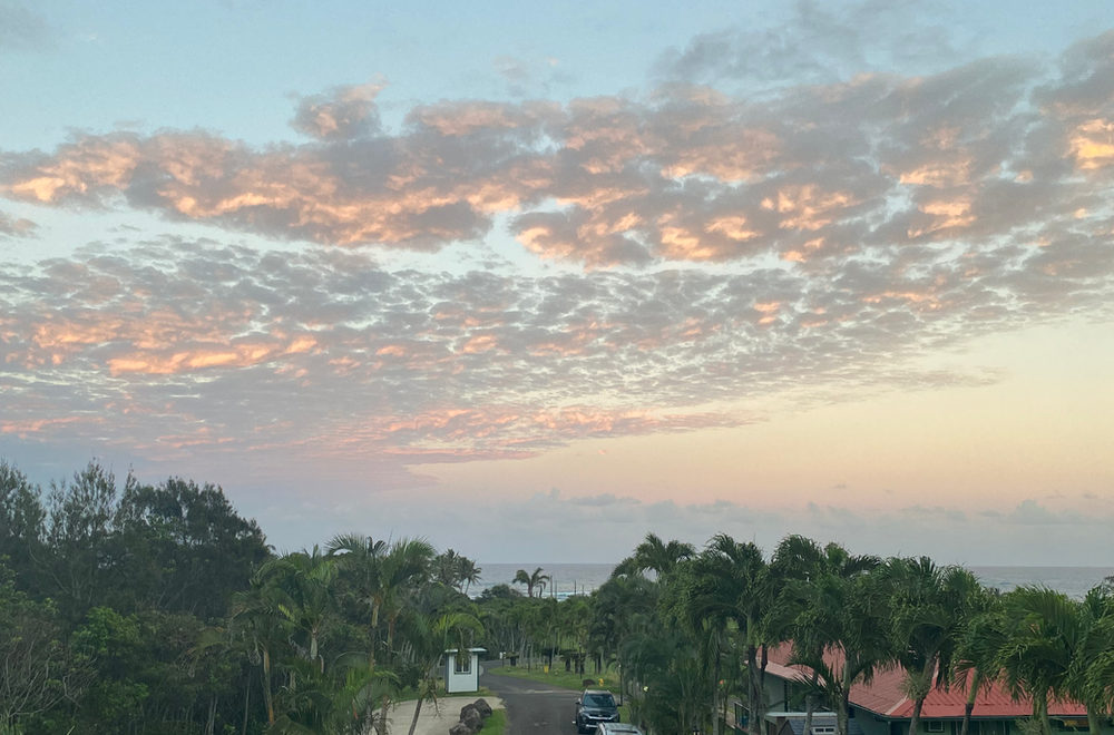 Sunset over Hawaii palm trees